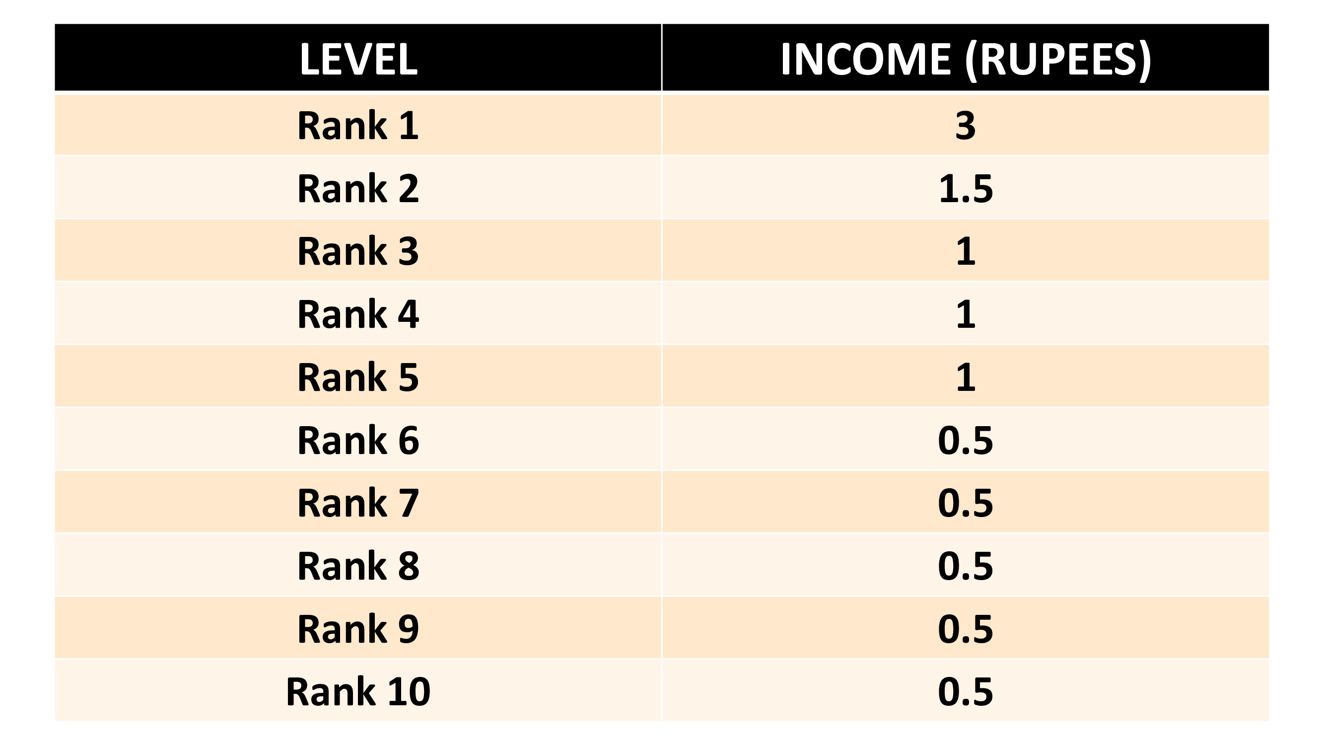 level income business plan